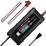 ECO-WORTHY 12V/24V 20A LifePO4 Lithium Battery Charger 14.6V Automatic Smart & Maintenance with Anderson Connector for Lithium (LiFePO4) and Lead Acid Battery, Boat, RV