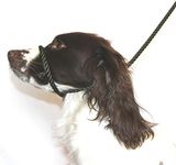 Dog & Field Figure 8 Anti-Pull Lead/Halter/Head Collar/Harness (Olive Green)