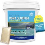 LMJP Pond Clarifier Treatment – 12 