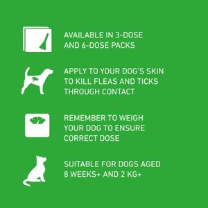 Frontline Plus Flea & Tick Treatment for Medium Dogs