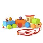 Shumee Wooden Pull Along Toy Jungle Train Set (Age 3 Years+) Encourage Walking, Build Imagination, Hand-Eye Coordination & Gross Motor Skills