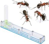 Ant Farm, Acrylic Ant Breeding Hous