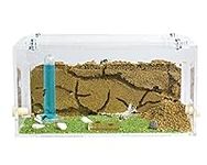 AntHouse - Natural Sand Ant Farm | Acrylic Starter Kit 7.87 x 3.94 x 3.94 in