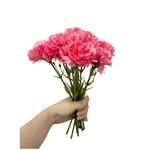 11 Inch Bouquets 10 Stem Carnations,Outdoor UV Resistant No Fade Artificial Flower,Mini Carnation Silk Petals Fake Flowers Forever Plants for Photo Props Home Party and Wedding Holding Flowers(Red)