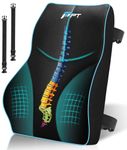 POOTACK Lumbar Support Cushion - Memory Foam Back Support Cushion Lumbar Support for Office Chair, Car Seat, Recliner, with Extension Strap and Mesh Cover