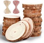 Unfinished Natural Wood Slices, 30P