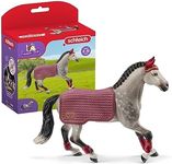 Schleich H