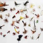 RoxStar Fly Fishing Shop Dry and Nymph Fly Hatch Pack! | 5dz Dry Flies for Trout | Match The Hatch with Our 60pk of Fly Fishing Flies for Trout! Tied in House - Never Outsourced!