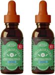 Herbs Etc. ChlorOxygen Chlorophyll Concentrate Mint Alcohol Free Liquid Extract - Liquid Chlorophyll Drops - Detoxifying & Deodorizing - Skin, Gut & Energy Support - 2 fl oz (132 Servings, 2-Pack)