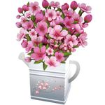 Hierein Birthday Cards for Women, Cherry Blossoms Watering Can Flower Bouquet Greeting Cards 3D Pop Up Birthday Cards Graduation Gift Cards for Anniversary, Special Celebrations, Thinking of You