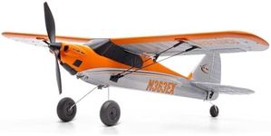 HobbyZone RC Airplane XCub 450mm RT