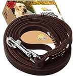 ADITYNA - Premium Leather Dog Leash