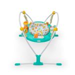 Exersaucer Toys