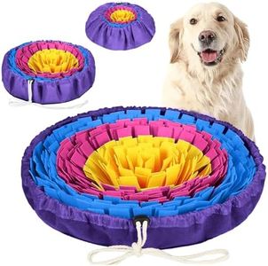 PET ARENA