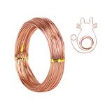 18 Gauge 1mm Aluminum Craft Wire, 165 Feet Bendable Metal Wire for Sculpting, Bike Model Skeleton Craft Floral Making, Jewelry Making, Wire Weaving and Wrapping (Copper)