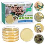Mold Test Kit with 4 Individual Tests - DIY Mold Test Kit for Home - Includes Detailed Mold Identification Guide - Fast Mold Detector and