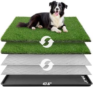 Dog Grass 