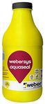 Webersys Aquaseal - 1 LTR | Marble Sealer | Stone Sealer | Clear Coat