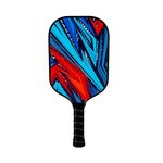 Everhype Carbon Fiber Pickleball Paddle | Lightweight Racket | Cushion Comfort Grip Pickle Ball Paddle | Indoor/Outdoor Play Compatible, Multicolor