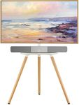 ECOTINY Tripod Easel TV Stand for 4