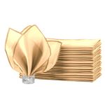 HEMEIREN 12Packs Cloth Napkins, Champagne Gold Satin Cloth Napkins, 20 * 20inch, Reusable Table Napkins for Wedding,Celebrations,Restaurant,Banquet