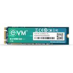 EVM 1TB M.2 (2280) SATA Internal SSD - 550MB/s Read & 370MB/s Write - 5-Year Warranty (EVMM2/1TB)