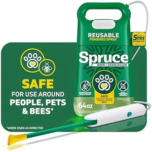 Spruce Wee