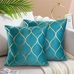 Hanrunsi Cushions Cover 40 x40 Turquoise Pillow Cases 2 Pack Velvet Square Decorative Cushion Teal Green Throw Pillow Covers for Bedroom Couch Sofa