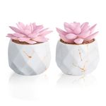 ZENIDA Set of 2 Artificial Succulents Plants in White Ceramic Pots, Mini Potted Plants, Small Decorative Fake Plants for Home, Office, Desk, Bathroom, Bedroom and Shelves Decor
