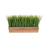 Nearly Natural 20in. Vanilla Grass 