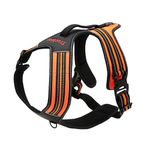 Reflective Dog Harness with Handle Soft Padded No-Pull Pet Vest, Durable Oxford Outer Layer for Large Breeds Truelove TLH5551(L, Orange)