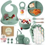 O'doe Baby Weaning Set – 15 Pcs Silicone Baby Feeding Set with Suction Plate, Bowl, Bib, Sippy Cup, Fruit Feeder, Freezer Tray – Baby Plates and Bowls Set – Green– BPA Free