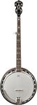 Washburn Americana Series B16K-D 5 
