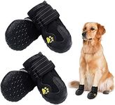 Paws Shoes