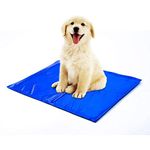 Sports Fan Pet Mats