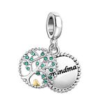 Luluadorn Family Tree of Life for Grandma Charms Compatible with Pandora Charms Bracelets for Women Birthday Gifts