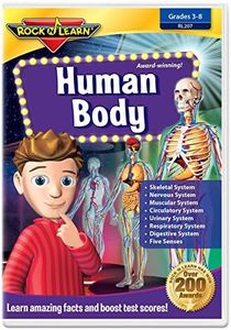 Human Body