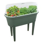 Raised Garden Bed Planter Box Outdoor, Patio Greenhouse Flower Vegetable Grow Box with Lid & Legs (Green)