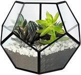 BELLE VOUS 18cm Geometric Glass Ter