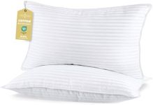SHERWOOD Pillows King Size 2 Pack H