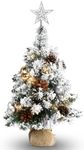 24 Inch 60CM Snowy Mini Christmas T
