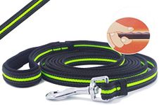 Dog Leash Long Training Dog Lead with Special Non-Slip Design and Padded Handle, 10/15/33/50 ft, for Any Size of Dogs (10 ft)