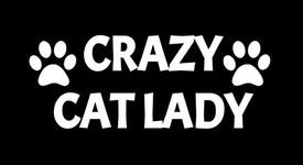 CCI Crazy Cat Lady Funny Decal Vinyl Sticker|Cars Trucks Vans Walls Laptop|White |6.5 x 2.5 in|CCI1858