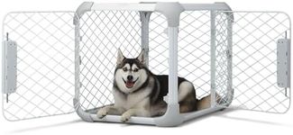 Diggs Evolv Dog Crate I Strong and 