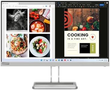 Lenovo L24i-40 - Monitor FHD 23.8" (IPS, 1920 x 1080 px, 100Hz, Tiempo de Respuesta 4ms, 16:9, HDMI, VGA, Montaje VESA 100 mm, Soporte de Inclinación) Color Gris Nube