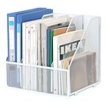 EasyPAG Desktop Metal A4 Magazine File Holder Mesh Desk Tidy Office Literature Document Ring Binder Paper Organiser Filing Rack,4 Compartments,White