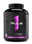 Rule 1 R1 Casein 55 serv Chocolate Fudge 4.1 pound