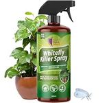 Whitefly Killer Spray 200ml - Effective Plant Bug Spray & Insecticide Soap for Houseplants, Outdoor Plants, & Garden Use | Targets Whiteflies & Flying Insects | Fast-Action Insect Killer for Home Use