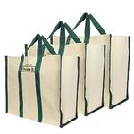 DOUBLE R BAGS Big Eco Cotton Canvas Shopping Bags For Carry Milk Grocery Fruits Vegetable With Reinforced Handles Jhola Bag - (17X8.5X14-Inches, Pack Of 1, Green) Contemporary - Unisex-Adult