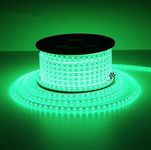 Mufasa LED Rope Light Indoor Outdoor Strip Home Decoration Lights, Diwali Festival Lights False Ceiling, Balcony 220V AC (Non Adhesive Back) (Green, 10 Meter)